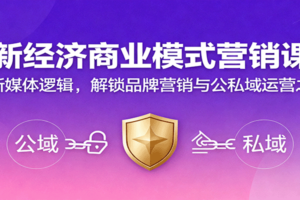 新经济商业模式营销课，握新媒体逻辑，解锁品牌营销与公私域运营之道-麦资源网
