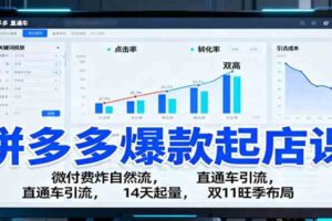 拼多多爆款起店课：微付费炸自然流，直通车引流，14天起量，双11旺季布局-麦资源网