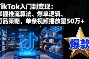 (16367期)TikTok入门到变现:掌握推流算法、爆单逻辑、打品策略,单条视频播放量50w-麦资源网
