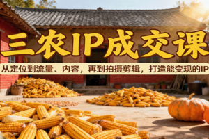 三农IP成交课：从定位到流量、内容，再到拍摄剪辑，打造能变现的IP-麦资源网