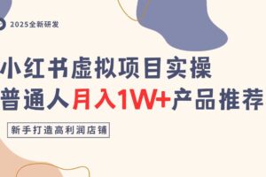 小红书虚拟项目实操指南，普通人月入1W+产品推荐，直接抄-麦资源网
