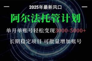 (16360期)阿尔法托管计划 单账号月入3000-5000,长期稳定项目,新手小白轻松上手。-麦资源网