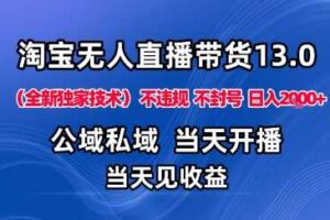 淘宝无人直播13.0，公域私域技术，不封号，不违规布局下半年旺季赛道，日入1K+（独家技术）【揭秘】-麦资源网