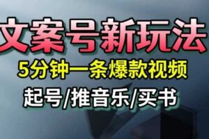文案号新玩法，5分钟一条爆款视频，流量高，起号快，多方位变现-麦资源网