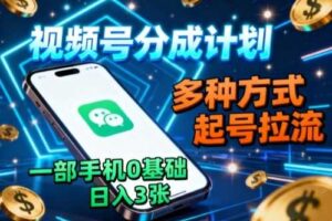 视频号分成计划，多种方式起号拉流，一部手机0基础日入3张-麦资源网