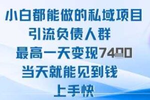 2025年小白都能做的私域项目引流负债人群最高一天变现1k+高变现难度低当天就能见到钱上手快-麦资源网