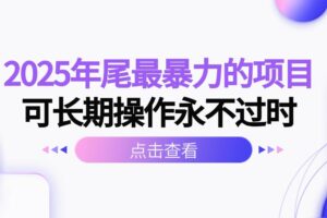 （16316期）2025年尾最暴力的项目可长期操作永不过时-麦资源网