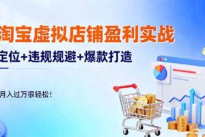 （16387期）淘宝虚拟店铺盈利实战：定位+违规规避+爆款打造，月入过万很轻松！-麦资源网