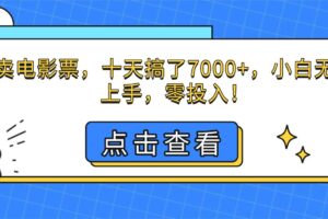 （16373期）靠卖电影票，十天搞了7000+，小白无门槛上手，零投入！-麦资源网