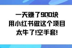 一天挣了9张用小红书做这个项目太牛了，空手套-麦资源网