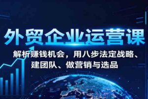 外贸企业运营课：解析赚钱机会，用八步法定战略、建团队、做营销与选品-麦资源网