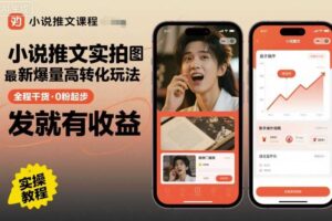 小说推文实拍双图文最新爆量高转化玩法，全程干货，0粉起步，发就有收益-麦资源网