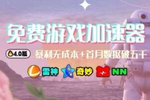 游戏加速器项目4.0_最新打法思路（爱玩游戏也能边玩边被动收益）-麦资源网