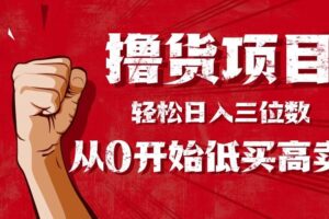 (16315期)手把手教你撸货,从0开始低买高卖,小白轻松实现日入三位数!!!-麦资源网