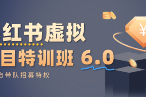 小红书虚拟项目特训班6.0 ，养号/选品/自动发货/爆款笔记（含40节视频课）-麦资源网