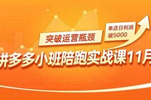 （16654期）拼多多小班陪跑实战课11月，强付费矩阵、原价活动、暗券引流，突破运营瓶颈，单店日利润破5000-麦资源网