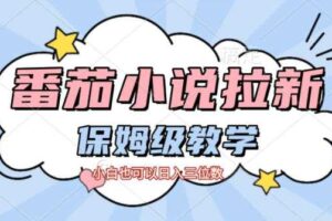 番茄小说拉新，保姆级教程，小白也可以日入三位数-麦资源网