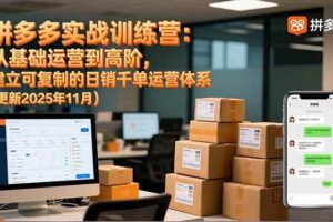 （16700期）拼多多实战训练营：从基础运营到高阶，建立可复制的日销千单运营体系（更新11月）-麦资源网