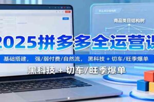 2025拼多多全运营课:基础搭建,强/弱付费/自然流,黑科技 + 切车/旺季爆单-麦资源网