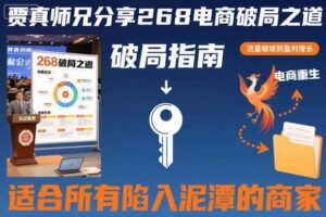贾真师兄分享268电商破局之道-适合所有陷入泥潭的商家-麦资源网
