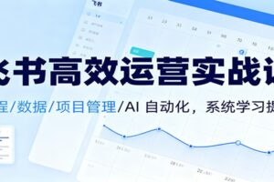 飞书高效运营实战课：日程/数据/项目管理/AI 自动化，系统学习提效-麦资源网