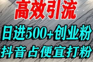 怎么打创业粉？抖音利用占便宜心理引流创业粉，单人日引500+精准流量-麦资源网