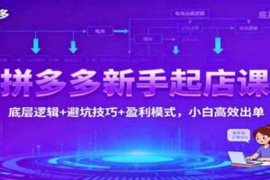拼多多新手起店课：底层逻辑+避坑技巧+盈利模式，小白高效出单-麦资源网