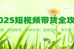2025短视频带货全攻略：爆款文案，快速起号，种草计划，星图变现，新手零门槛上手-麦资源网