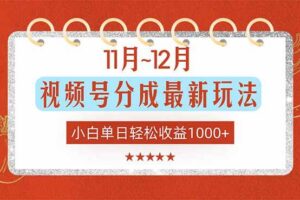 （16639期）11月~12月视频号分成最新玩法，小白单日轻松收益1000+-麦资源网