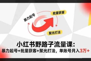 （16513期）小红书野路子流量课：暴力起号+批量获客+聚光打法，单账号月入3万+-麦资源网