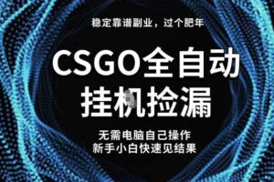 【稳定副业】全球最热门游戏CSGO全自动捡漏，最新玩法，新手小白日入5张+【揭秘】-麦资源网