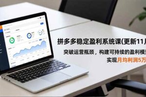 （16641期）拼多多稳定盈利系统课(更新11月)，突破运营瓶颈，构建可持续的盈利模型，实现月均利润5万+-麦资源网