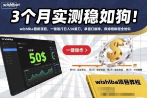3个月实测稳如狗！wishlba最新项目，一键运行日入50美刀，单窗口躺挣，保姆级教程全给你【揭秘】-麦资源网