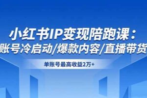 （16550期）小红书IP变现陪跑课：账号冷启动/爆款内容/直播带货，单账号最高收益2万+-麦资源网