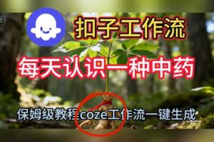 Coze扣子工作流一键生成每天认识一种中药短视频，保姆级搭建教学-麦资源网