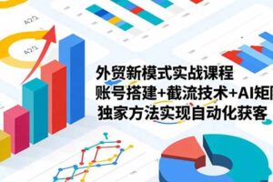 (16496期)外贸新模式实战课程,账号搭建+截流技术+AI矩阵+独家方法实现自动化获客-麦资源网
