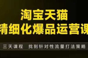 淘宝天猫精细化爆品运营（9月12-14杭州线下课），全方位拆解爆品打造逻辑【音频+字幕+文档】-麦资源网