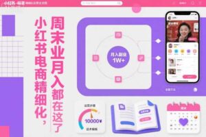 小红书电商精细化运营全流程，周末副业月入1W+，全套方法都在这了-麦资源网