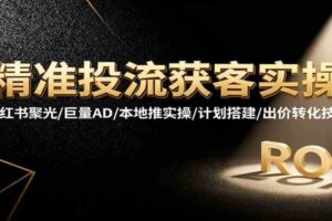 精准投流获客实操，小红书聚光/巨量AD/本地推实操/计划搭建/出价转化技巧-麦资源网