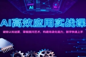 AI高效应用实战课：破除认知迷雾，掌握提问艺术， 构建场录化能力，新手快速上手-麦资源网