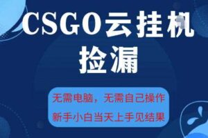 CSGO云挂G全自动捡漏，最新独家玩法，无需电脑操作，新手小白日入5张+【揭秘】-麦资源网