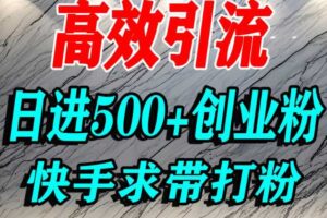 怎么打创业粉？快手求带视角精准引流创业粉，宝妈、学生群体日进500+精准流量-麦资源网