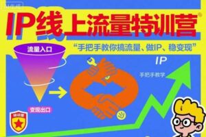 IP线上流量特训营，手把手教你搞流量、做IP、稳变现-麦资源网
