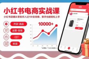 小红书电商实战课，小红书店铺从零到月入过1W全攻略，新手也能轻松上手-麦资源网