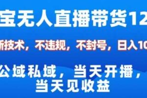 淘宝无人直播12.0，公域私域技术，不封号，不违规布局双十一流量风口，日入1k（独家技术）【揭秘】-麦资源网