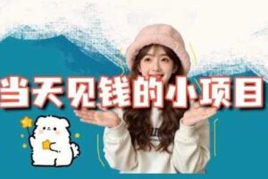 当天能收益的3个小项目拆解_包括平台+操作流程-麦资源网