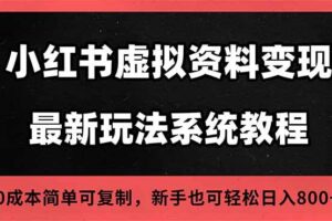 （16544期）2025小红书虚拟资料最新开店运营教程，搜索流变现玩法，一人多店0成本…-麦资源网