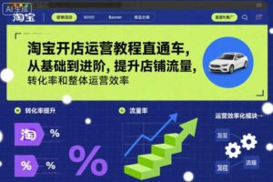 淘宝开店运营教程直通车，从基础到进阶，提升店铺流量，转化率和整体运营效率（更新11月）-麦资源网