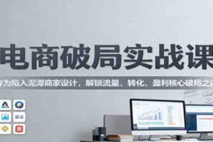电商破局实战课：专为陷入泥潭商家设计，解锁流量、转化、盈利核心破局之道-麦资源网