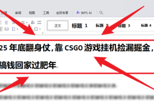 25年底翻身仗，靠CSGO游戏挂机捡漏掘金，搞钱回家过肥年-麦资源网